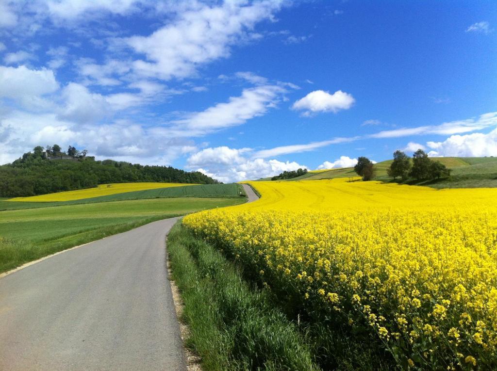 Landgasthof Hirschen 3*